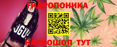 индика Рыбинск