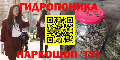 индика Рыбинск