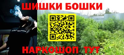 индика Рыбинск