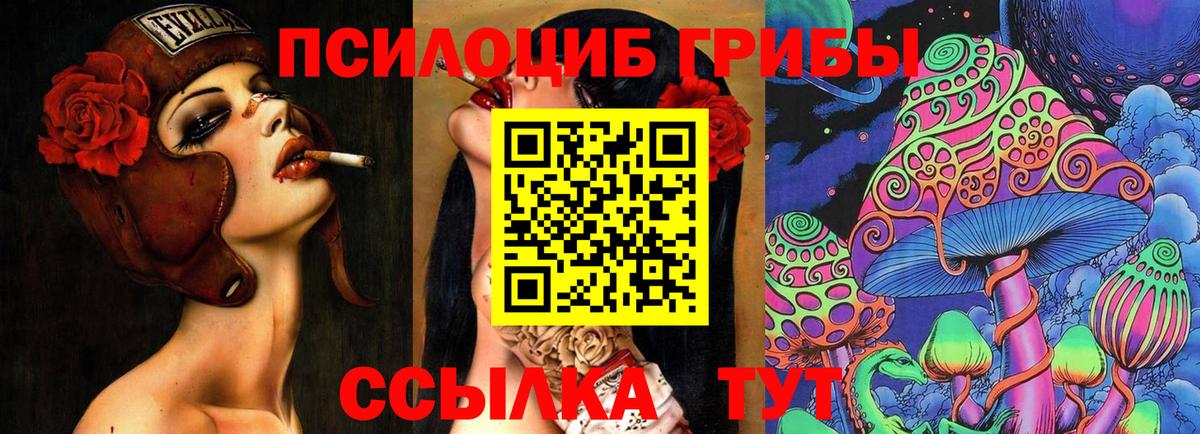 Прокопьевск  Галлюциногенные грибы GOLDEN TEACHER  Вход с VPN 