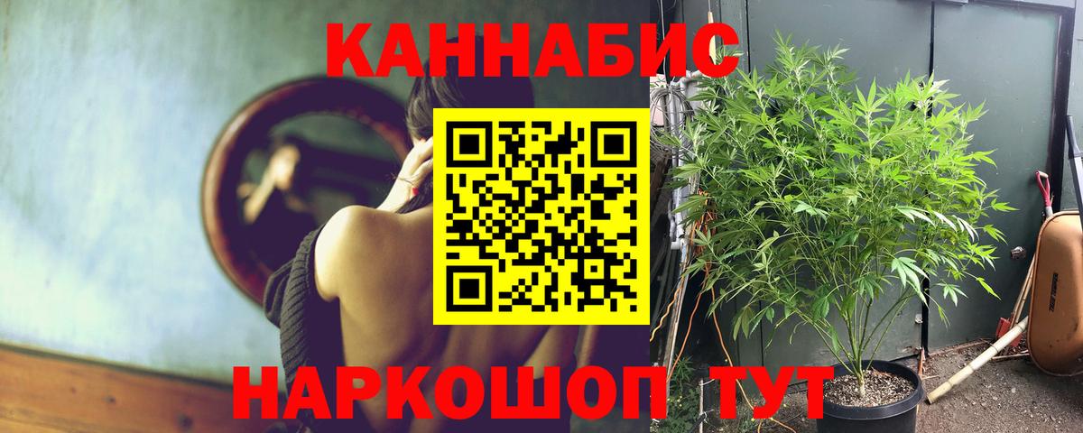 Каннабис тримм Прокопьевск